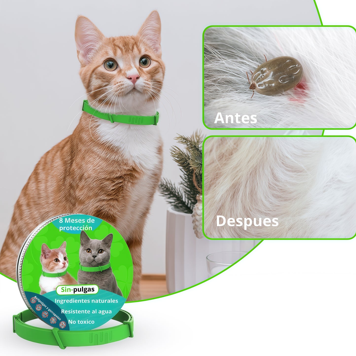 Sin-pulgas - Collar antipulgas y garrapatas para gatos de 8 meses