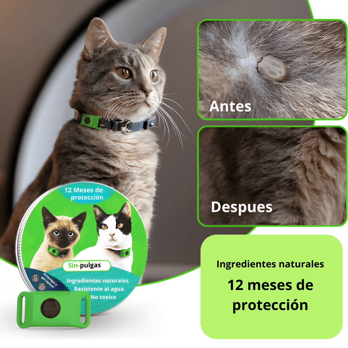 SinPulgas™ - Protector antipulgas y garrapats para gatos de 12 meses