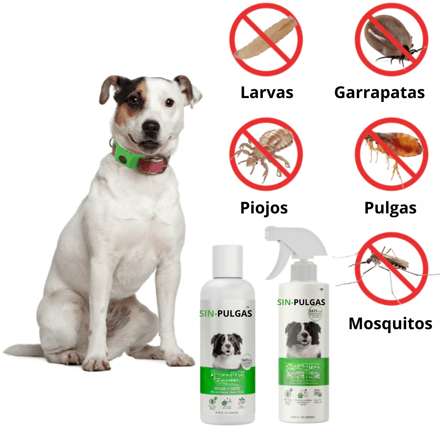 Sin-pulgas - Paquete de protección completa