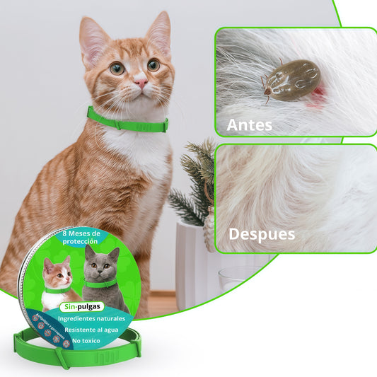 Sin-pulgas - Collar antipulgas y garrapatas para gatos de 8 meses