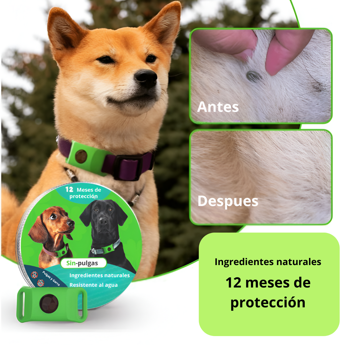 SinPulgas™Protector antipulgas y garrapatas para perros de 12 meses