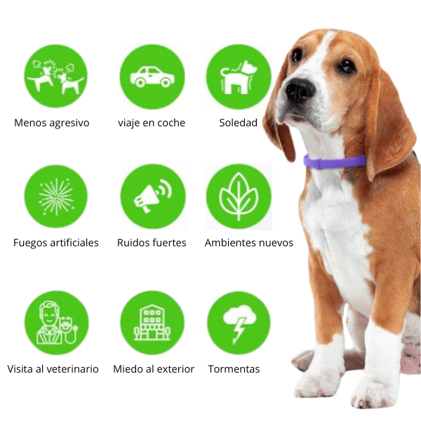 ZÖE™ - Collar calmante de feromonas naturales para perros