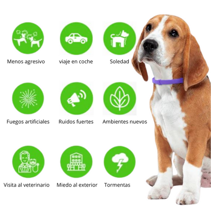 ZÖE™ - Collar calmante de feromonas naturales para perros
