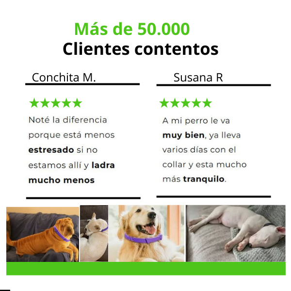 ZÖE™ - Collar calmante de feromonas naturales para perros