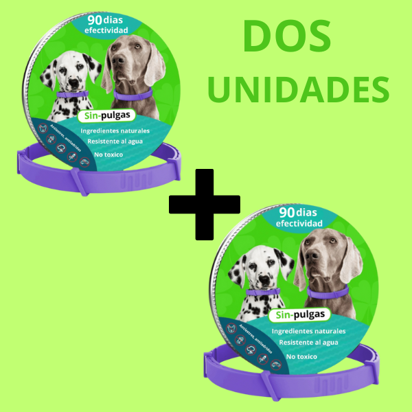 Dos Unidades de Regalo gartis