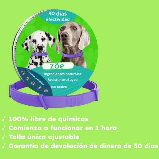 ZÖE™ - Collar calmante de feromonas naturales para perros