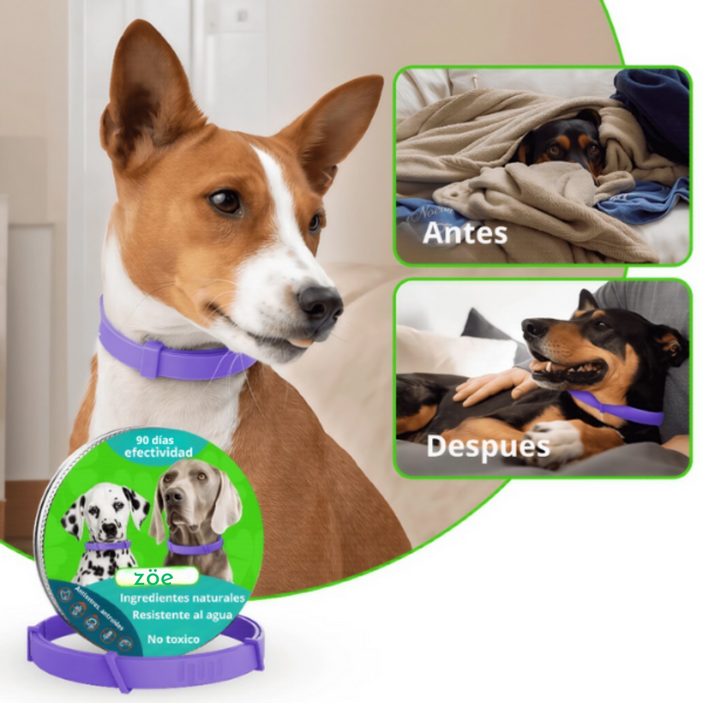 ZÖE™ - Collar calmante de feromonas naturales para perros